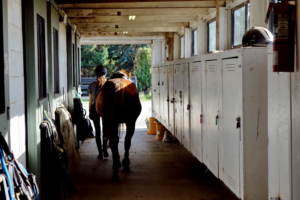 Board – Crescent Stables Ltd.
