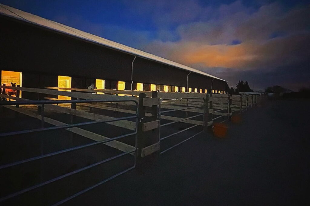 second barnh night time